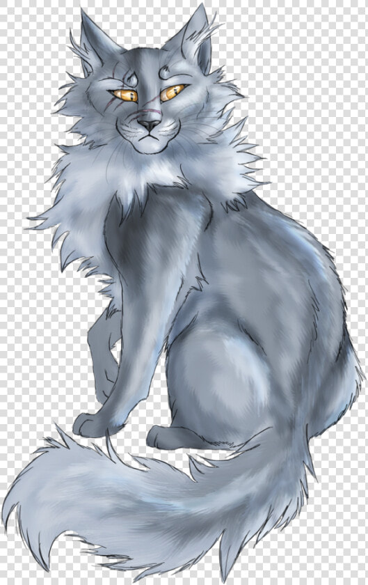 Cat Warriors Kitten Whiskers Tallpoppy   Wolf  HD Png DownloadTransparent PNG