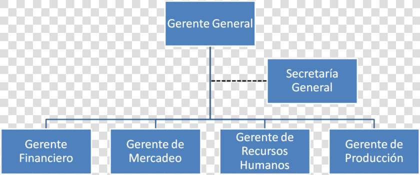 Organigrama De Gerencia   Organigrama De Un Gerente General  HD Png DownloadTransparent PNG