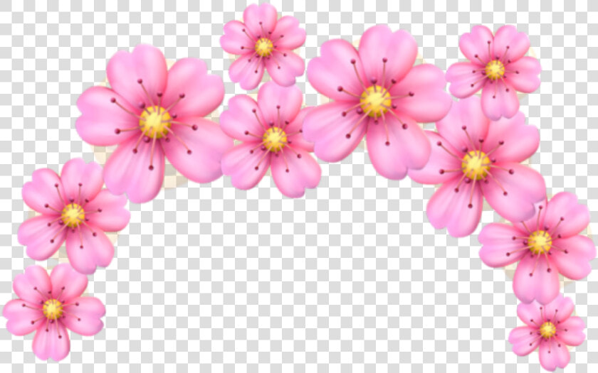 Coroa Rosa Png     Transparent Flower Crown Emoji  Png DownloadTransparent PNG