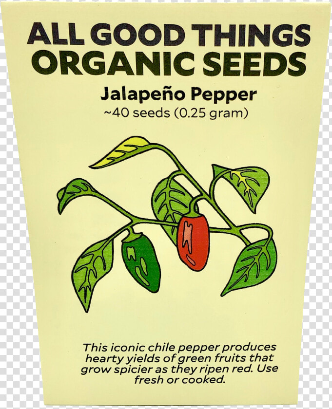 Jalapeño Pepper   Holy Basil  HD Png DownloadTransparent PNG