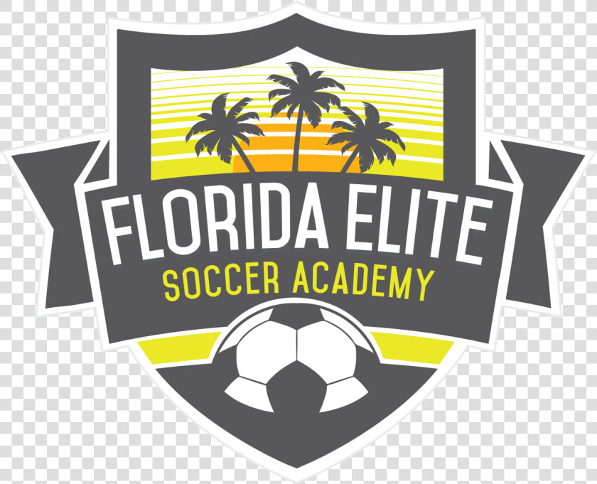 Florida Elite Soccer Academy  HD Png DownloadTransparent PNG