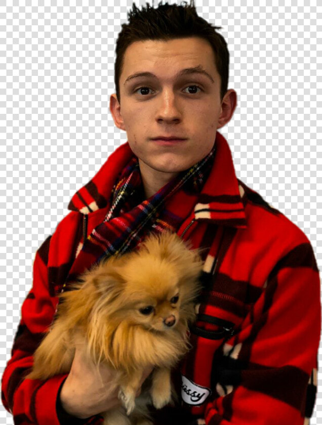 Tom Holland And Dog   Png Download   Tom Holland And A Dog  Transparent PngTransparent PNG