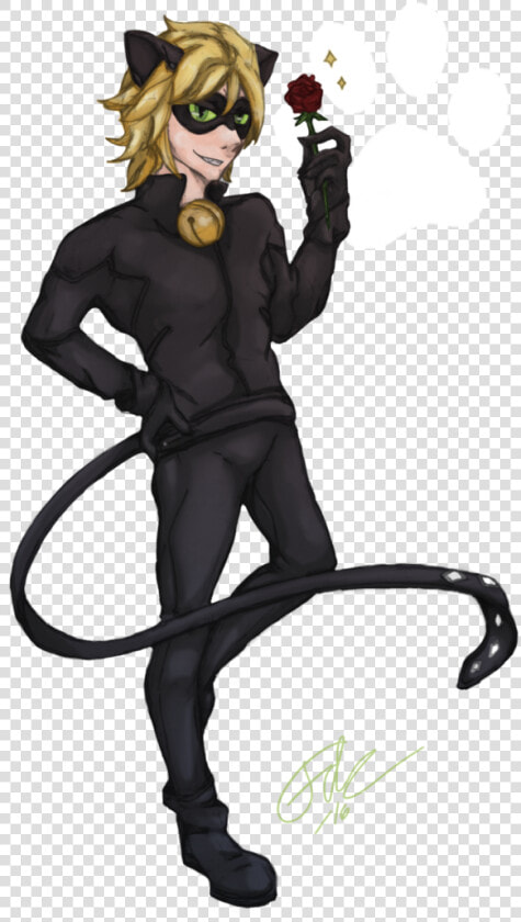 Tales Of Ladybug  amp  Cat Noir   Chat Noir Transparent Background  HD Png DownloadTransparent PNG