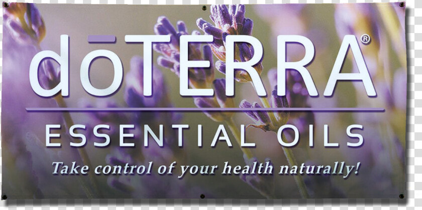 Introduction To Doterra Essential Oils Class  HD Png DownloadTransparent PNG