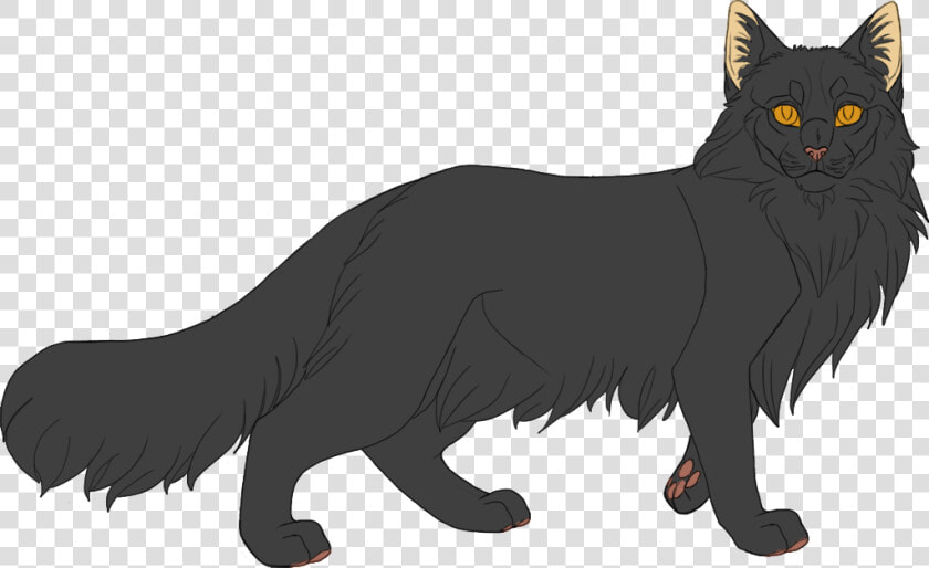 Black Kitten With Blue Eyes   Dark Grey Cat With Brown Eyes  HD Png DownloadTransparent PNG