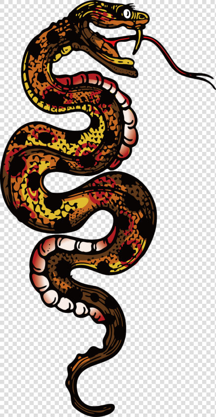 Snake Tattoo Boas  HD Png DownloadTransparent PNG