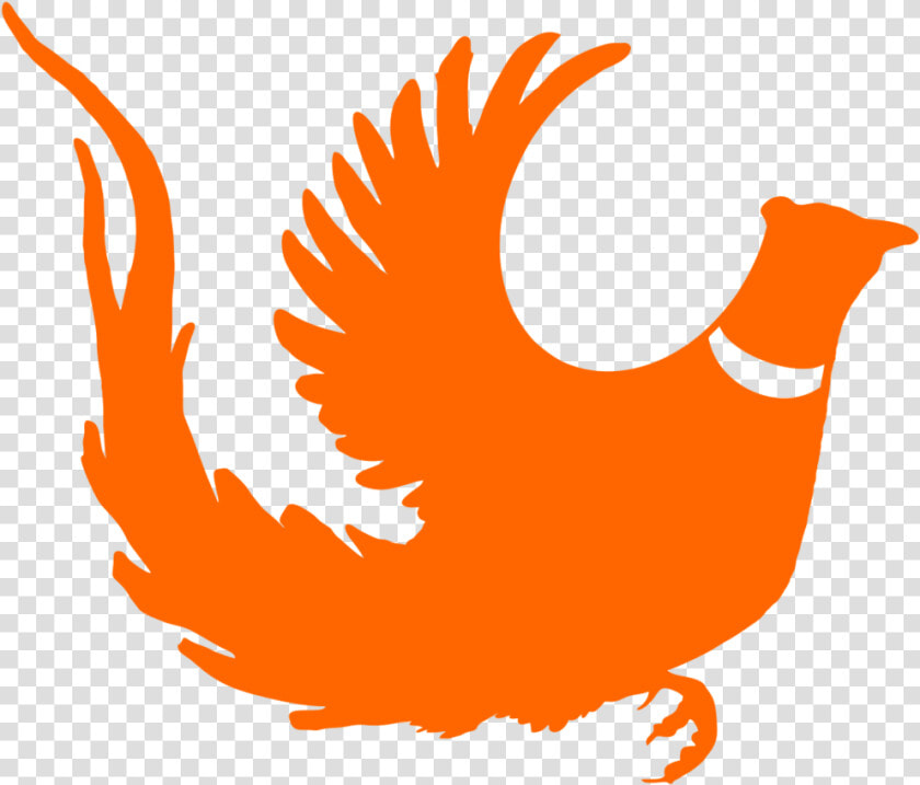 Pheasant  HD Png DownloadTransparent PNG