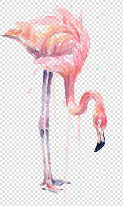 Drawing Flamingos Watercolor   Flamingo Painting Watercolor  HD Png DownloadTransparent PNG