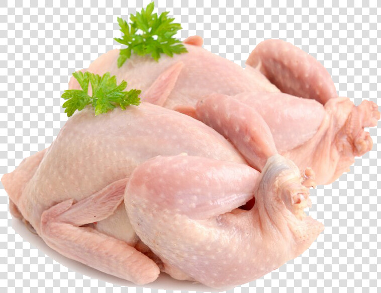 Chicken   Fresh Quail Png  Transparent PngTransparent PNG