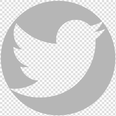 Immagine   White Logo Twitter Icon Png  Transparent PngTransparent PNG