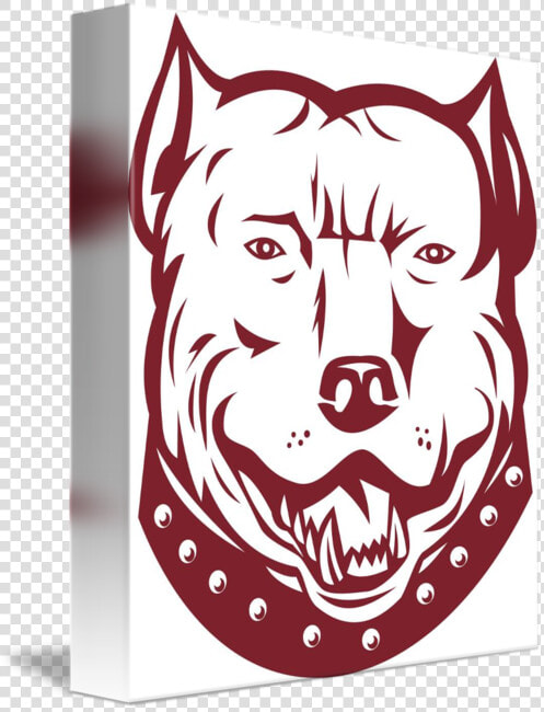 Transparent Bull Terrier Clipart   American Pit Bull Terrier  HD Png DownloadTransparent PNG