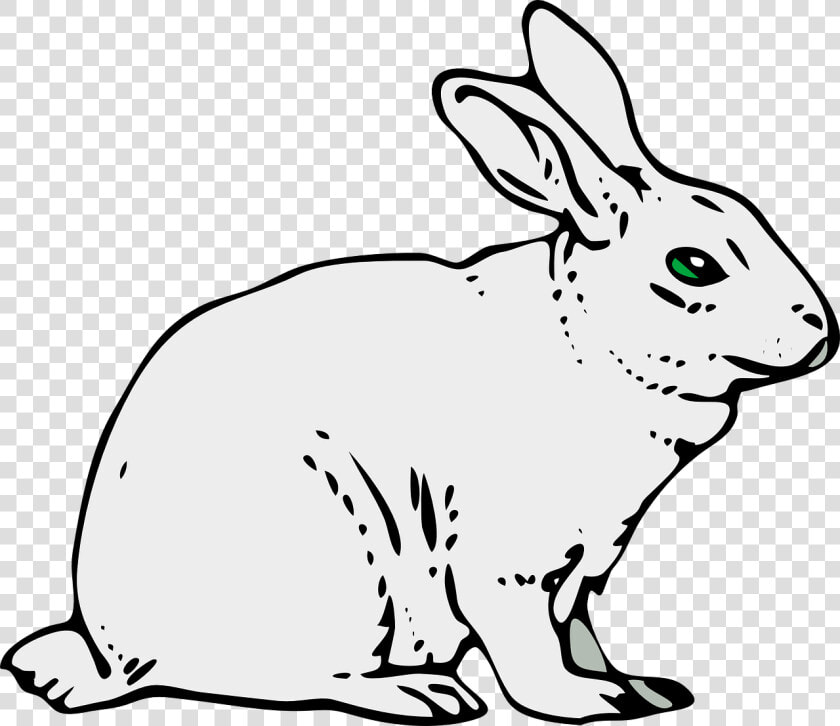 Rabbit Animal Mammal Free Picture   Clip Art Of Rabbit  HD Png DownloadTransparent PNG