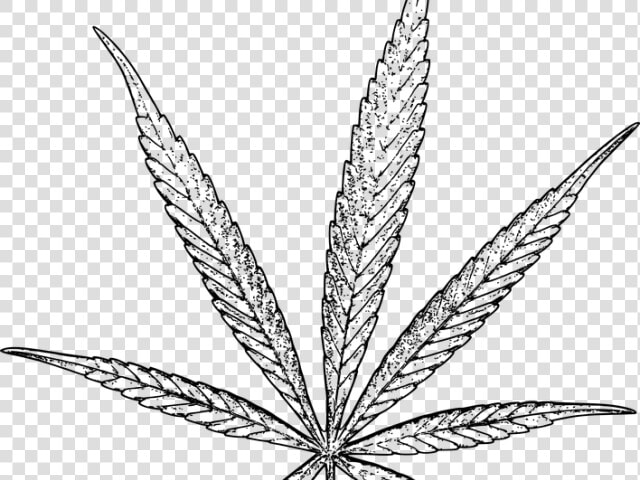 Drawn Weed Tobacco Leaf   Weed Leaf Drawing Png  Transparent PngTransparent PNG