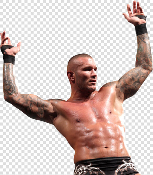 Transparent Randy Orton Png   Randy Orton Rko Transparent  Png DownloadTransparent PNG