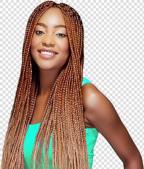 Colour Darling Yaki Braids  HD Png DownloadTransparent PNG