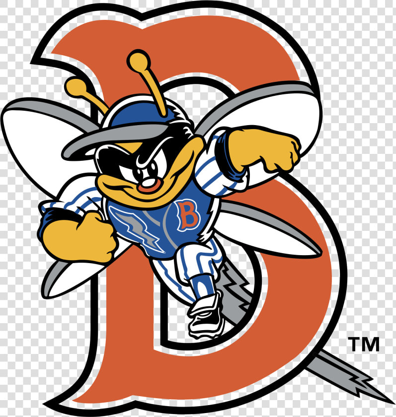 Binghamton Mets Logo  HD Png DownloadTransparent PNG