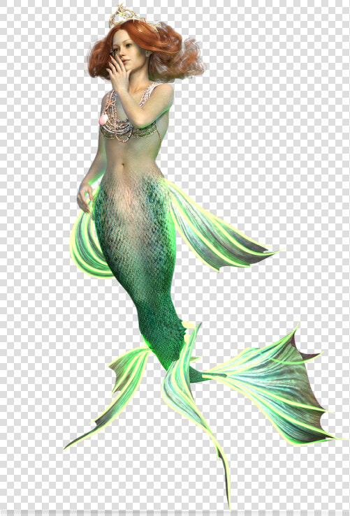 Mermaid  Siren  Water Creature  Mystical  Fantasy   Siren Mermaid Png  Transparent PngTransparent PNG