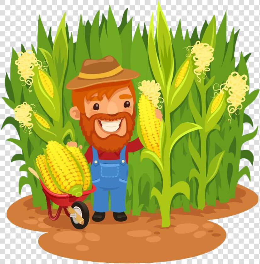 Png Library Stock Agriculture Clipart Corn Field   Farmer In Cornfield Clip Art  Transparent PngTransparent PNG