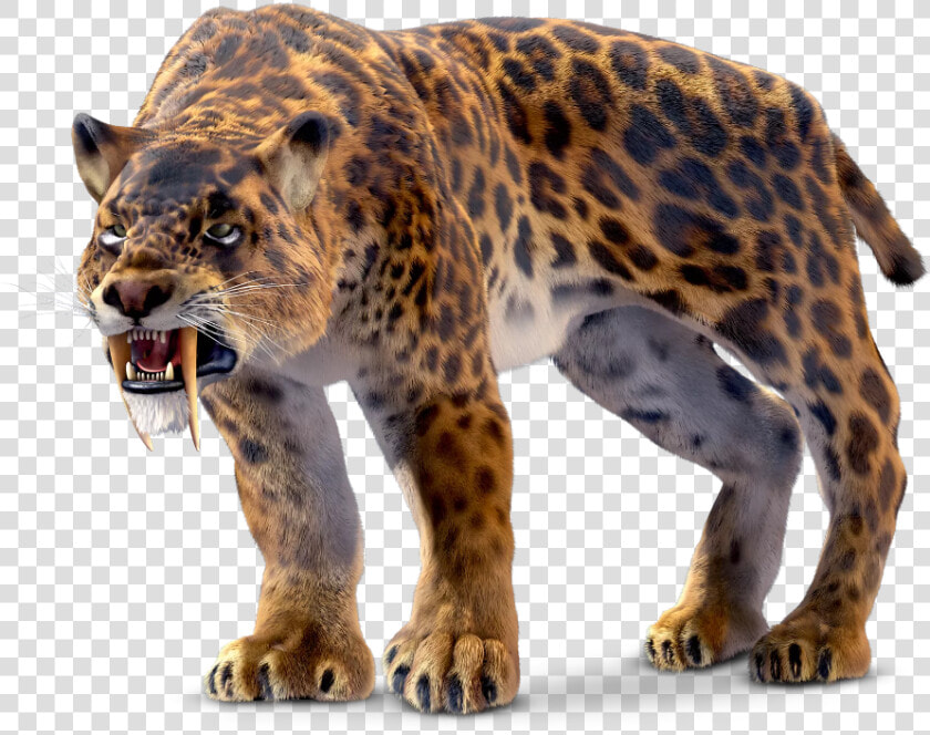 Saber Tooth Tiger  HD Png DownloadTransparent PNG