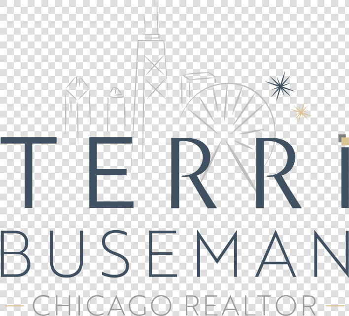 Real Estate Agent Terri Buseman  South Loop Chicago  HD Png DownloadTransparent PNG