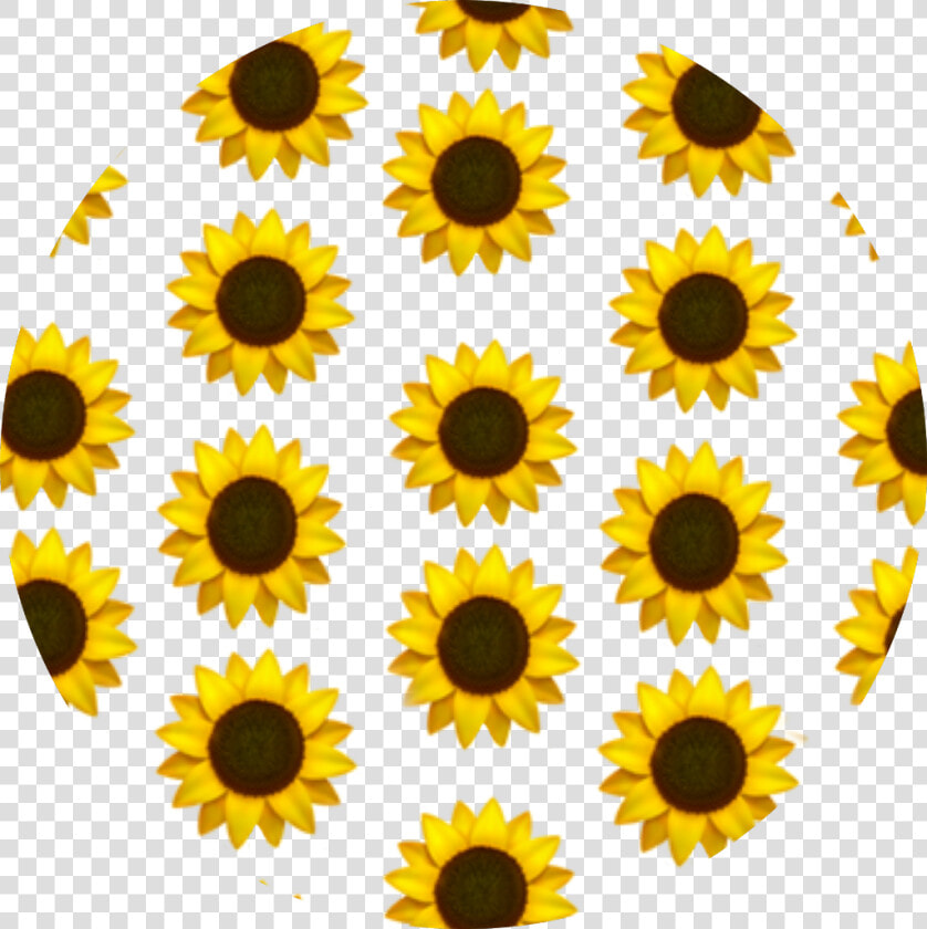    sunflower  emoji  background  yellow  aesthetic   Aesthetic Sunflower Phone Background  HD Png DownloadTransparent PNG