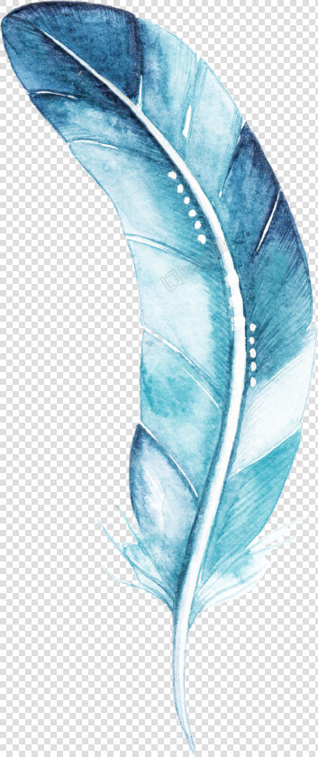 Blue Feather Cartoon Watercolor Beautiful Transparent  HD Png DownloadTransparent PNG