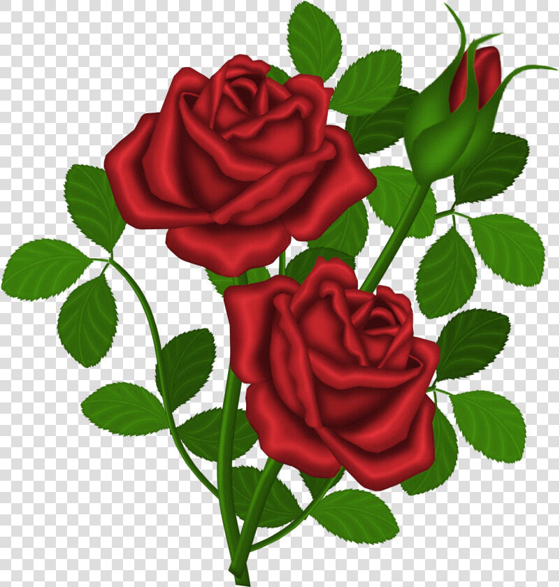 Red Roses Png Picture Clipartu200b Gallery Yopriceville   Happy Friday My Love  Transparent PngTransparent PNG