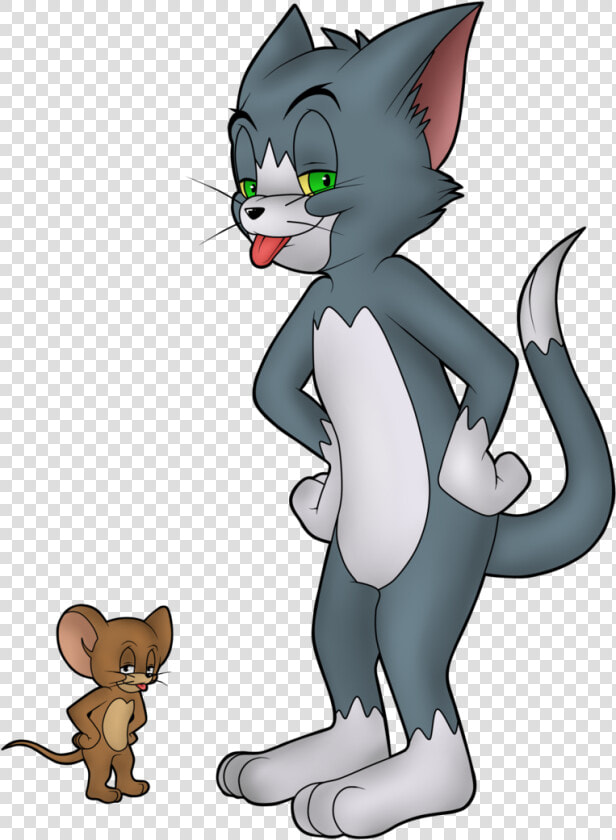 Tom And Jerry Png   Tom And Jerry  Transparent PngTransparent PNG