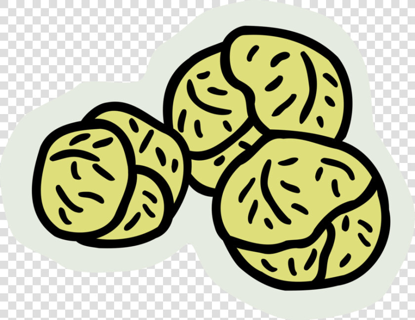 Vector Illustration Of Brussels Sprouts Small Cabbage   Xiaochi  HD Png DownloadTransparent PNG