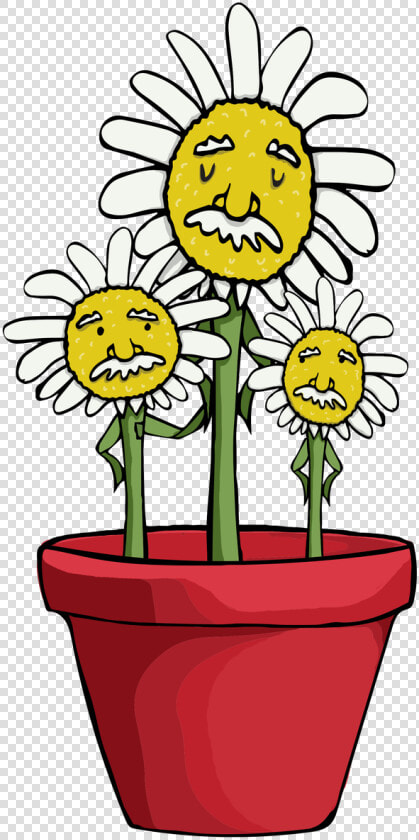 Flowerpot  HD Png DownloadTransparent PNG