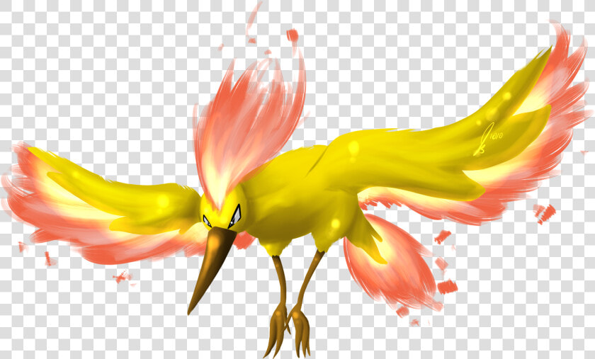  ​img    Pokemon Legendary Moltres Transparent  HD Png DownloadTransparent PNG