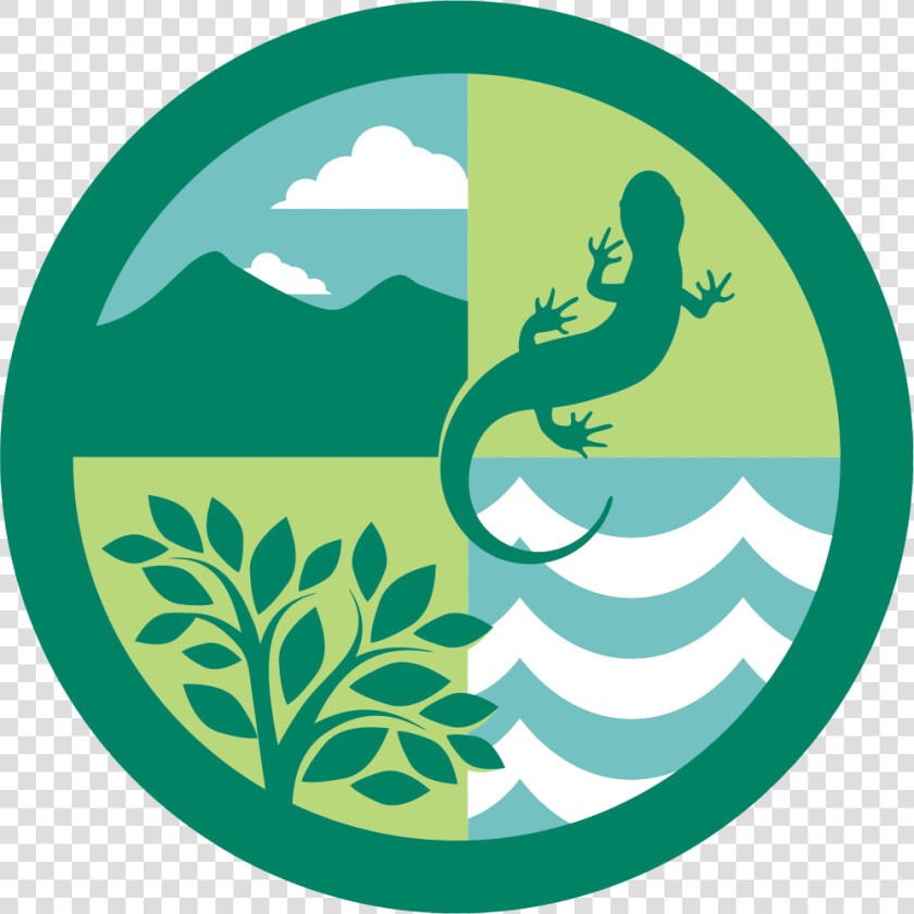 Ecosystem Clipart Png  Transparent PngTransparent PNG