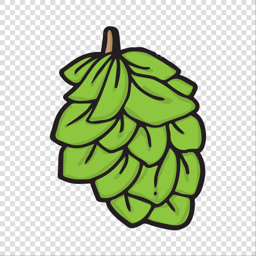 Png Download   Png Download   Hops Clipart  Transparent PngTransparent PNG