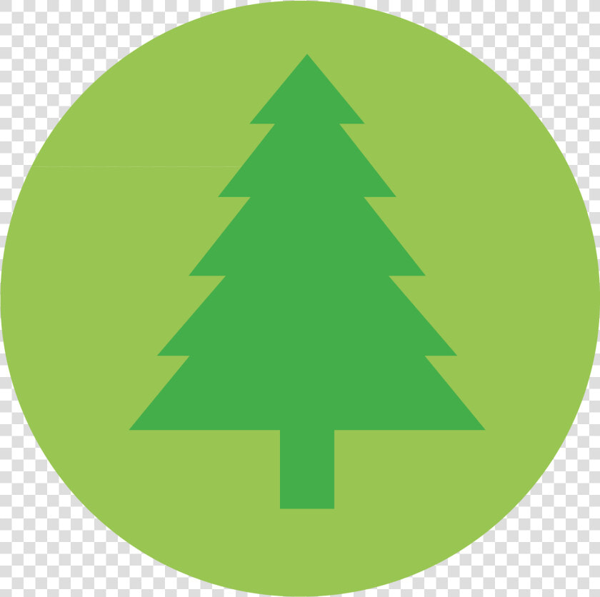 Tree Icon Conservation Icon   Conservation Icon Png  Transparent PngTransparent PNG