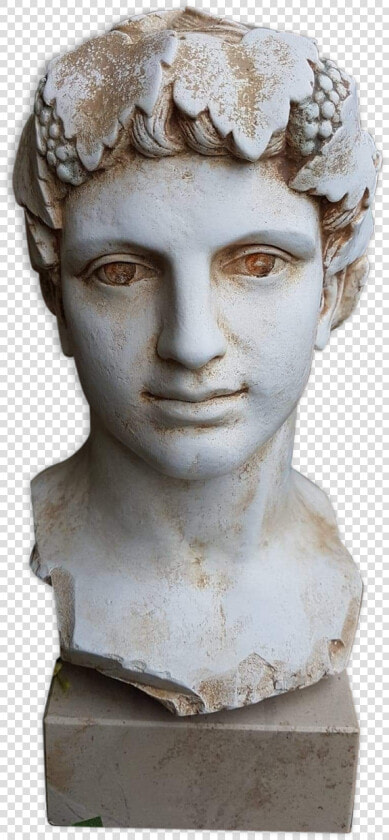 Bust Of Young Man Of Antiquity In Plaster On Marble  HD Png DownloadTransparent PNG