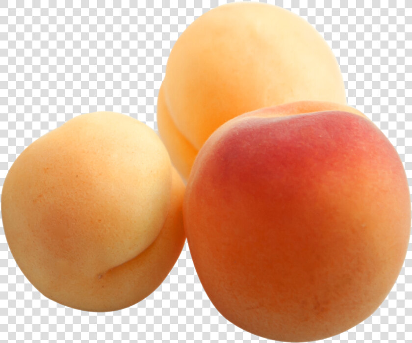 Apricots Png  Transparent PngTransparent PNG