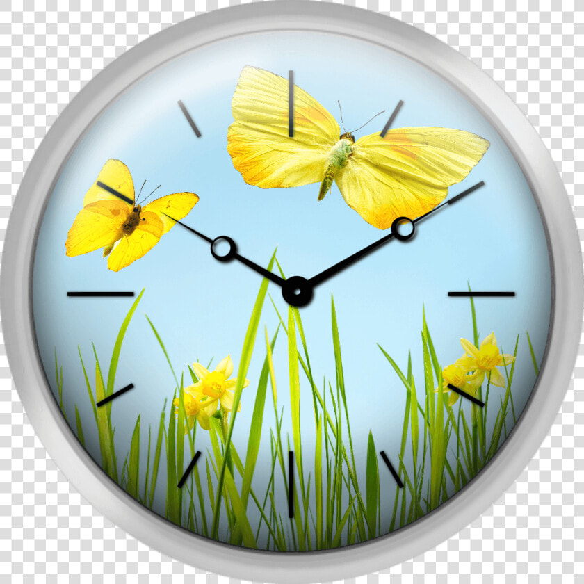 Yellow Butterflies With Grass And Daffodils   Texture Clock Png  Transparent PngTransparent PNG