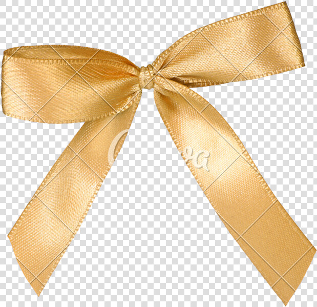 Transparent Gold Christmas Bow Png   Cores De Agosto 2019  Png DownloadTransparent PNG