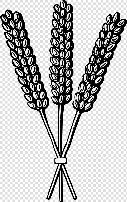 Heraldry Wheat Clipart   Png Download   Wheat Heraldry  Transparent PngTransparent PNG