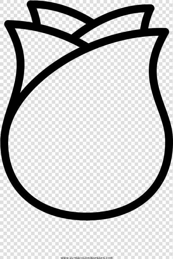 Rose Bud Coloring Page   Capullo Png  Transparent PngTransparent PNG