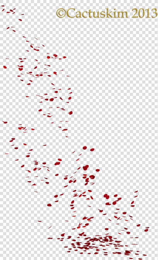 Falling Petals Png   Flower Petal Render  Transparent PngTransparent PNG