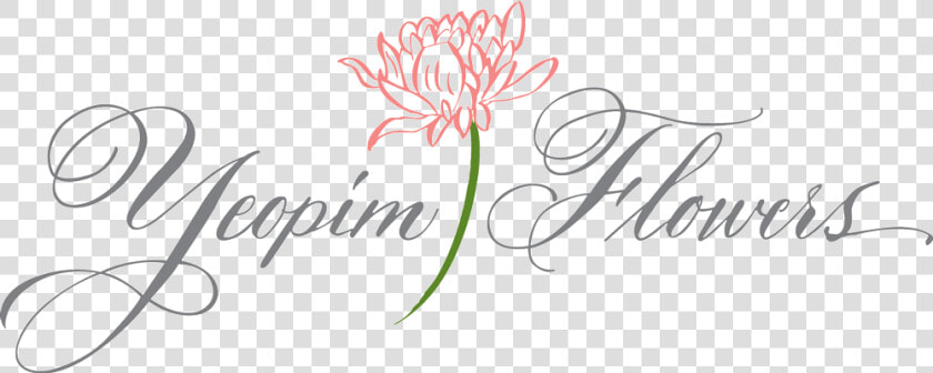 Yeopim Flowers   Guernsey Lily  HD Png DownloadTransparent PNG