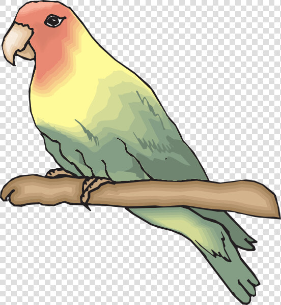 Sketsa Gambar Burung Lovebird  HD Png DownloadTransparent PNG