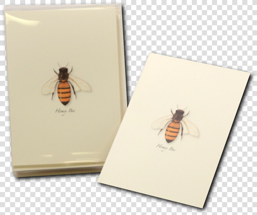 Honey Bee Notecard Honeybee Greeting Card   Honeybee  HD Png DownloadTransparent PNG