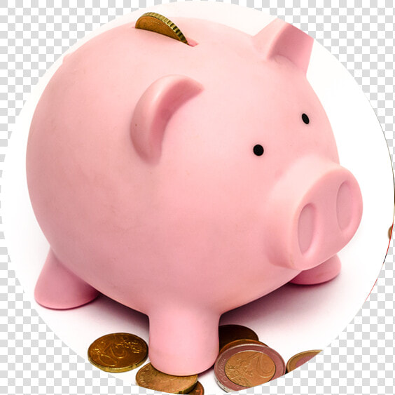 8 Pink Pig   Mutual Fund Piggy Bank  HD Png DownloadTransparent PNG