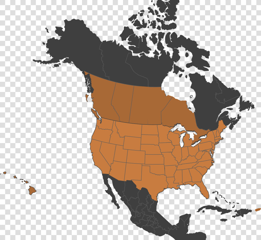 Map Of Mcg Architecture Services In North America   Age Of Consent Us  HD Png DownloadTransparent PNG