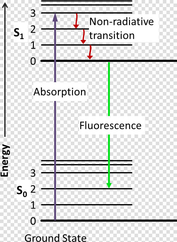  chemsummer Carnival Glow Sticks   Jablonski Diagram Fluorescence  HD Png DownloadTransparent PNG