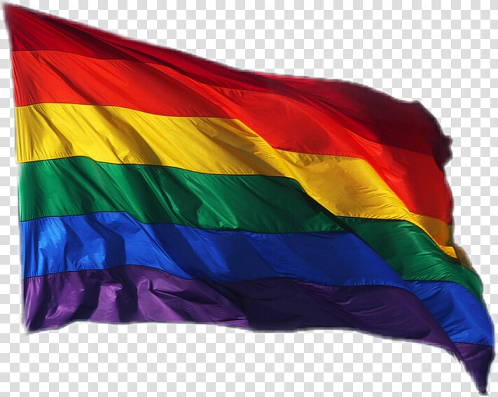  pride  lgbt  lgbtq  prideflag  flag  homosexuall  nichememe   Race Segregation Flag Rainbow  HD Png DownloadTransparent PNG