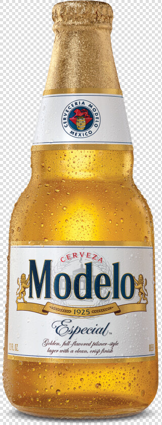 Modelo Especial Beer  HD Png DownloadTransparent PNG