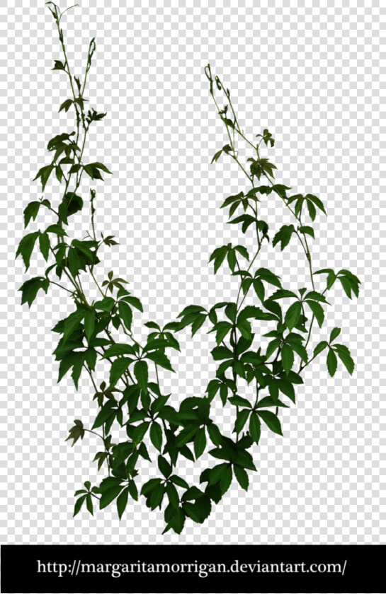 Climber Planting Cut Out  HD Png DownloadTransparent PNG